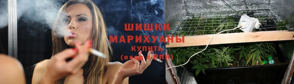 гидра Шали