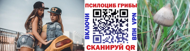 Псилоцибиновые грибы Psilocybine cubensis  Купить где  Киренск 